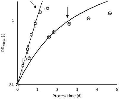Influence of Process Operation on the Production of Exopolysaccharides in Arthrospira platensis and Chlamydomonas asymmetrica